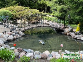 Фото мостика для перехода через декоративный пруд в саду
